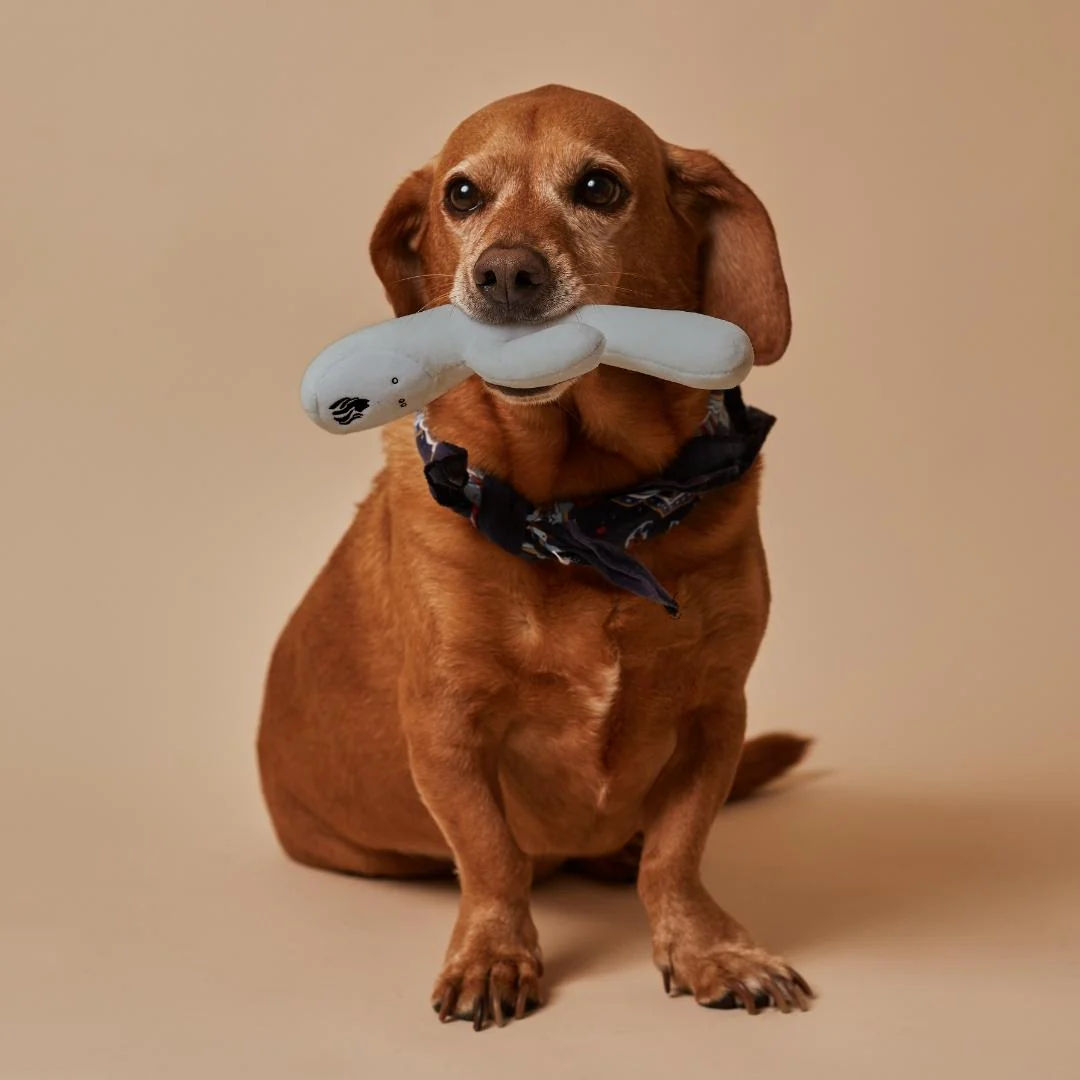 Lioness Dog Toy - Image 3