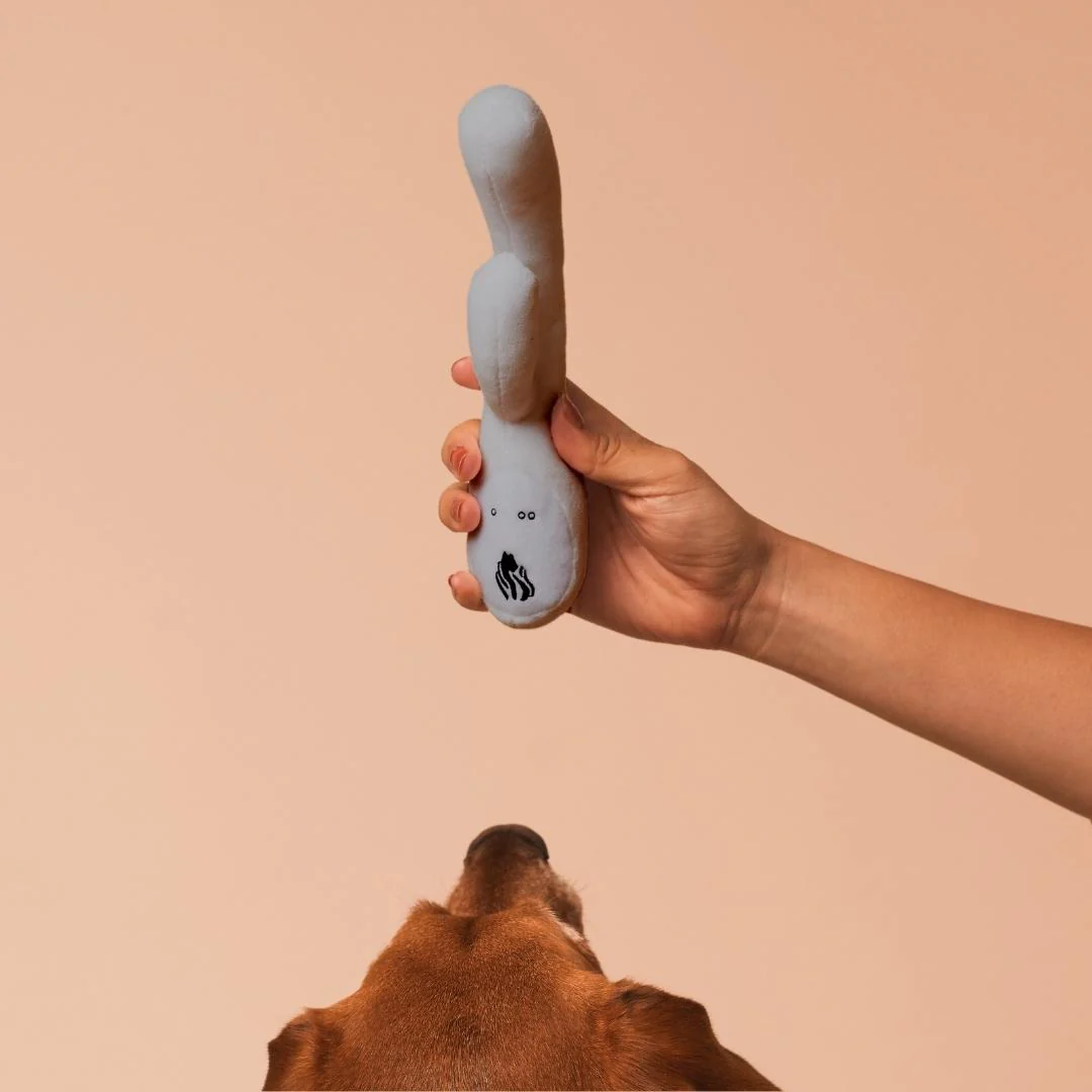 Lioness Dog Toy - Image 5